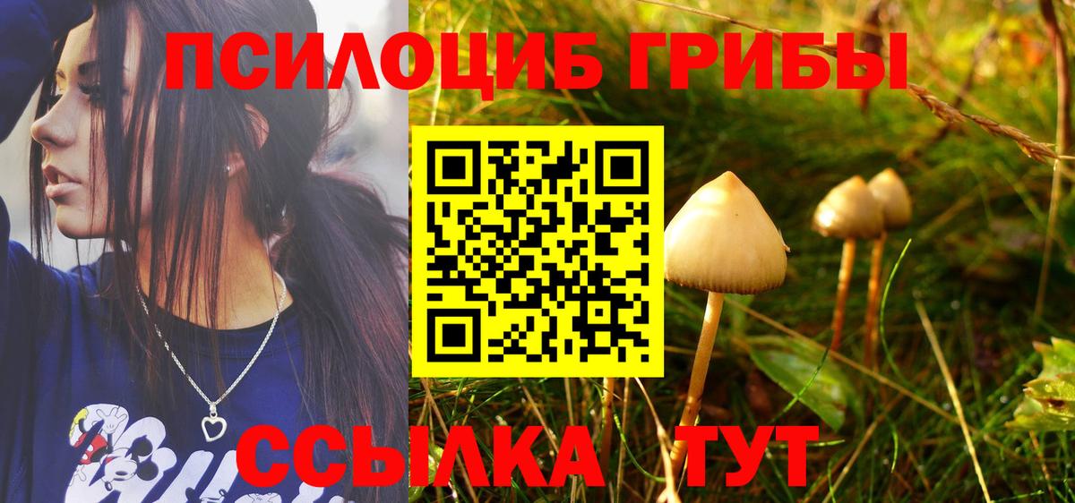 Зеленокумск  Псилоцибиновые грибы GOLDEN TEACHER  цена   Вход с VPN 