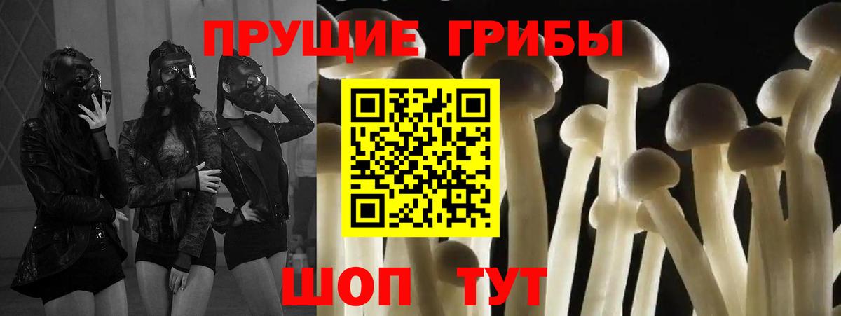 Псилоцибиновые грибы Psilocybine cubensis Зеленокумск