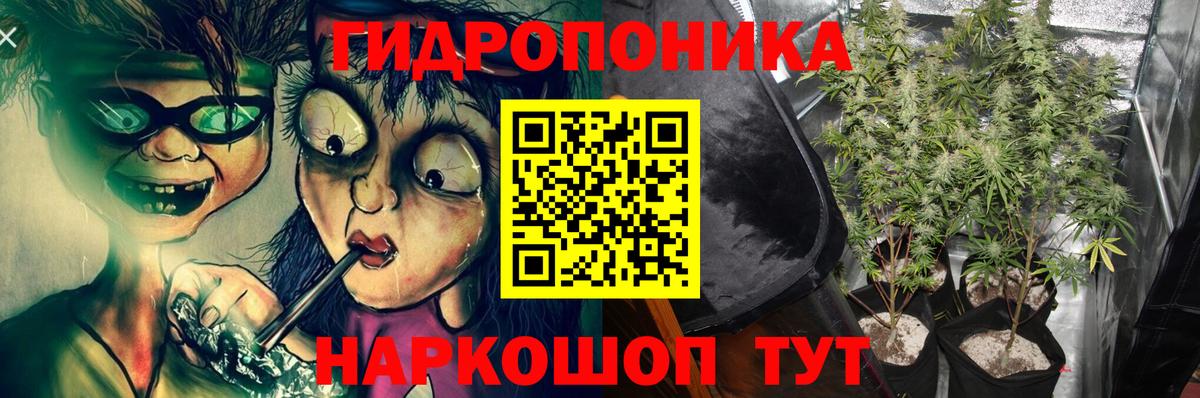 Бошки марихуана Bruce Banner  Вход с VPN  Бошки марихуана Bruce Banner  Бошки марихуана MAZAR  Зеленокумск 